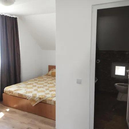 ゲストハウス Casa Scurtu 2025 コスティネシュティ