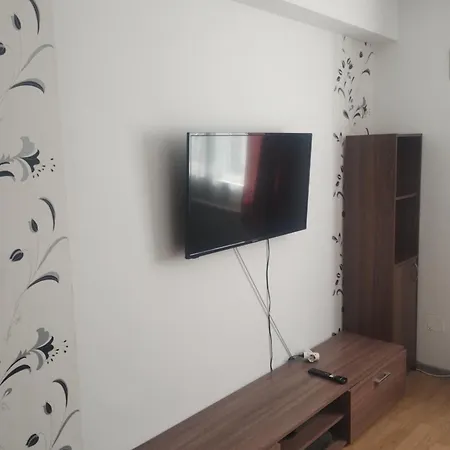 Casa Scurtu 2025 ゲストハウス コスティネシュティ